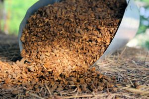 How to Feed Horses. Supplements, Hay & Feeds