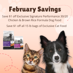 a cat and a dog with pictures of Exclusive signature dog food 