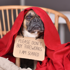 July 4th Safety Tips for Pets - dog with sign